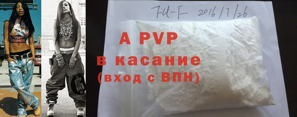 молекула духа Арсеньев