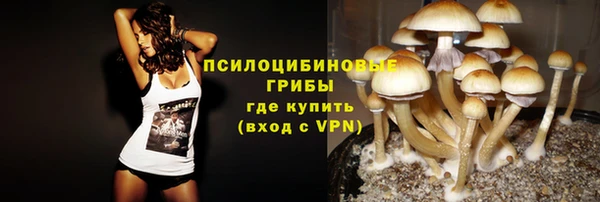 гидра Аркадак