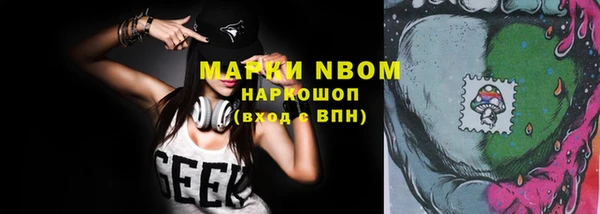 молекула духа Арсеньев