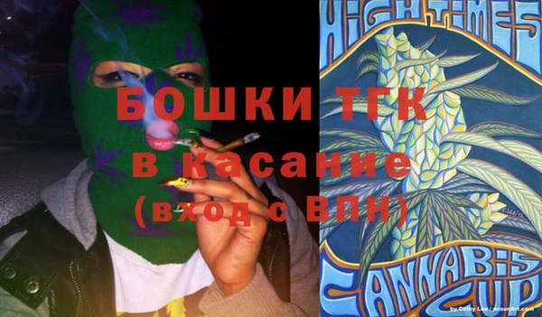 молекула духа Арсеньев
