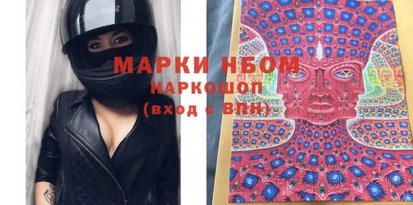 молекула духа Арсеньев