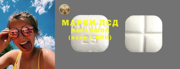 молекула духа Арсеньев