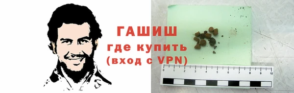 молекула духа Арсеньев
