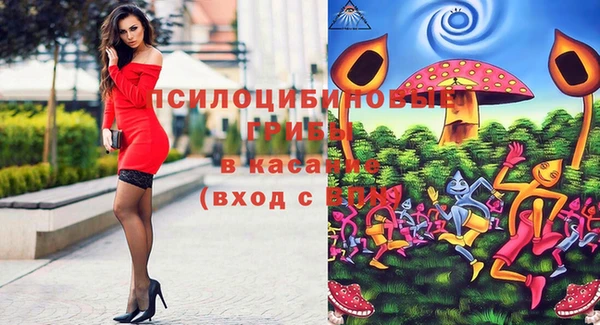 гидра Аркадак